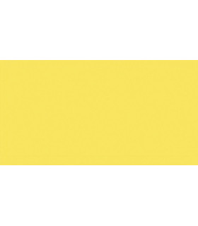 PAPEL COLOR A4 IRIS 80g 100h GUALDA