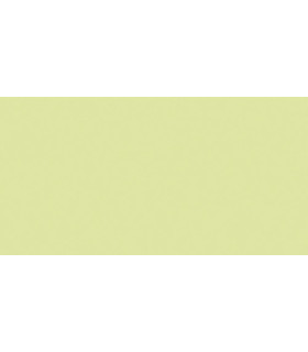 PAPEL COLOR A4 IRIS 80g 100h VERDE MANZ.