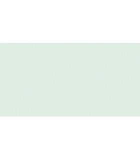 PAPEL COLOR A4 IRIS 80g 100h VERDE PAST.