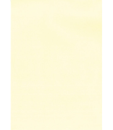 PAPEL VERJUR.A4 APLI 100g 100h CREMA