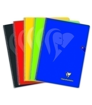 BLOCK CLAIREFONTAINE Fº 80h 4x4 90g VIVO