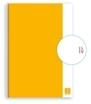 BLOCK ESCOLOFI BASIC A4 80h LISO 80g