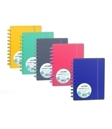 BLOC CARCHIVO INGENIOX A5 100h CD.4 INT.
