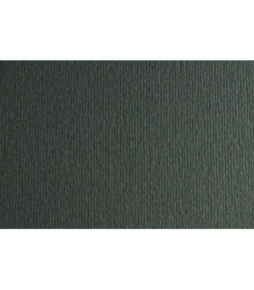 CARTULINA 50x70 FABRI. 220g LR FERRO P/2