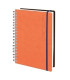 AG.ED. TUCSON t.FEX. 166x240 D/P NARANJA