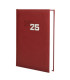 AG.F. DYNAMIC MILANO Y10 D/P BURDEOS