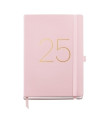 AG.MR. BASIC CHESTER PLUS D/P ROSA