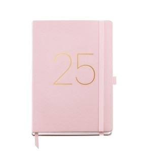 AG.MR. BASIC CHESTER PLUS S/V ROSA