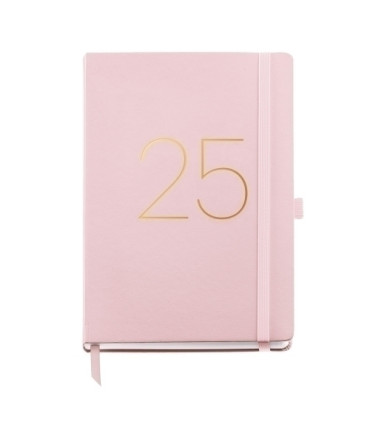 AG.MR. BASIC CHESTER PLUS S/V ROSA