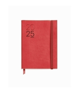 AG.MR. BASIC LUXOR JOURNAL D/P ROJO