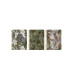 AG.OXF. WILD t.EXTRA A5 D/P SURTIDO