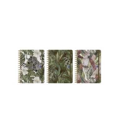 AG.OXF. WILD t.EXTRA A5 D/P SURTIDO