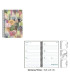 AG.SENF. ACUARELA 135x210 S/V BOSQUE
