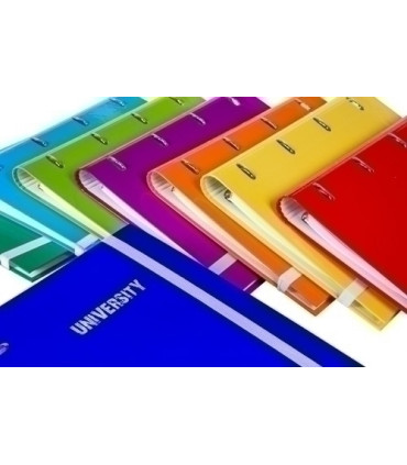CARPEBLOC UNIVERSITYA4 4AN.120 H SURTIDO