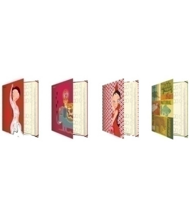 CARPETA FOLIO CLASIFICADORA TAPA EXTRA A