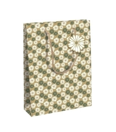 BOLSA PAPEL KRAFT  33x26 NATURE P/6