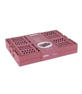 CAJA ALMACENAMIENTO APLI PACK 2 RS