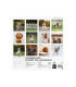 CAL.FIN.CAT. PARET 300x300 CADELLS