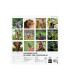 CAL.FIN.CAT. PARET 300x300 FAUNA SALVATG