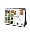 CAL.FIN.CAT. SOBR. 210x150 FAUNA SALVATG