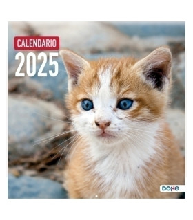 CAL.DOHE PARED MES 30x30 GATOS