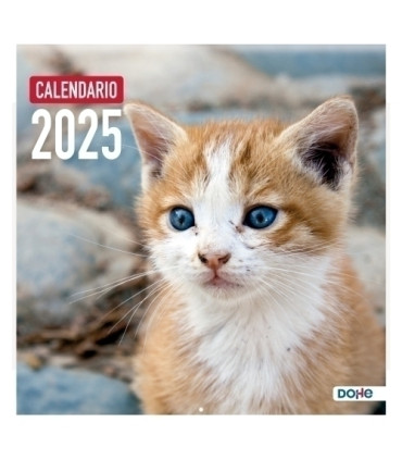 CAL.DOHE PARED MES 30x30 GATOS