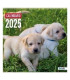CAL.DOHE PARED MES 30x30 PERROS