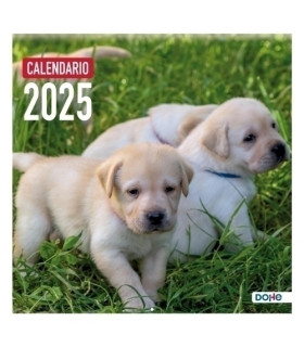 CAL.DOHE PARED MES 30x30 PERROS