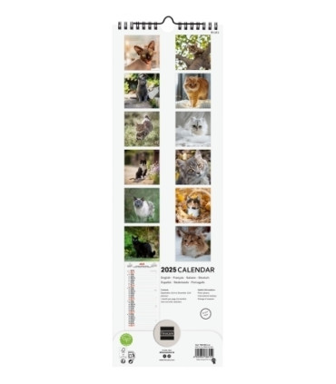 CAL.FIN. INT. PARED 155x480 CATS