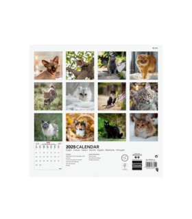 CAL.FIN. INT. PARED 180x180 CATS