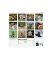 CAL.FIN. INT. PARED 300x300 DOGS