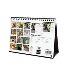 CAL.FIN. INT. SOBR. 210x150 CATS
