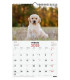CAL.FIN. PARED 250x400 CACHORROS