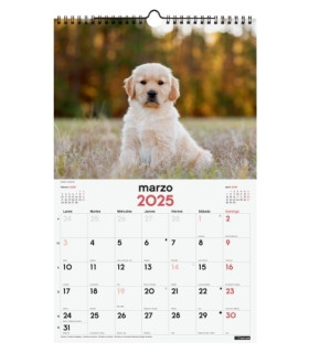CAL.FIN. PARED 250x400 CACHORROS