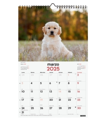 CAL.FIN. PARED 250x400 CACHORROS