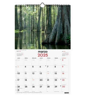 CAL.FIN. PARED 250x400 NATURALEZA