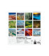 CAL.FIN. PARED 300x300 NATURALEZA