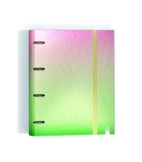 CARPEBLOC CARCH.GRADIENT Fº 4AN.100 H CO