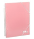 TARIF.CARCH.PP ARCHIVEX A4 30F. ROSA
