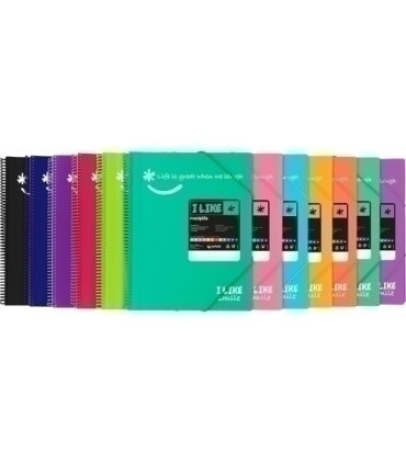 TARIF.GRAF.PP MAXIPLAS LIKE 2 A4 30F.SRT