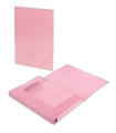 CARPETA SOLAP.CARCHIVO Fº SOFT ROSA