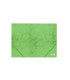 CARPETA SOLAP.FOROFIS CARTON A4 VERDE