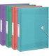 CARP.PROY.ESSELTE PP A4 2,5 cm SURTIDO