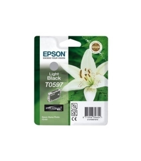 CART.IJ.EPSON T059740 R2400 GRIS