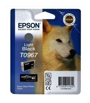 CART.IJ.EPSON T096740 PHOTO R2880 GRIS