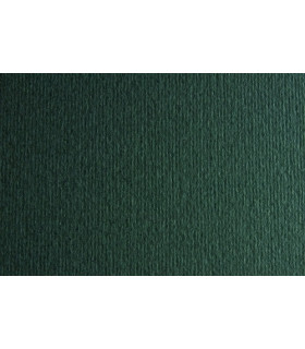 CARTULINA A4 SIRIO 250g LR FERRO P/50