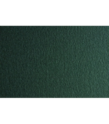 CARTULINA A4 SIRIO 250g LR FERRO P/50