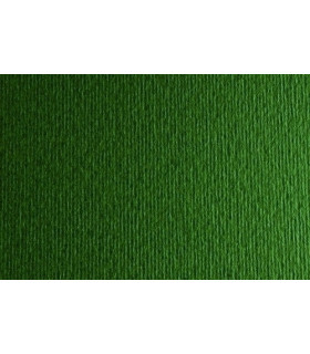 CARTULINA A4 SIRIO 250g LR VERDONE P/50