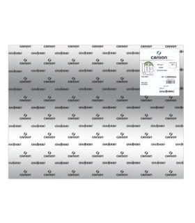 CARTULINA METAL.50x65 IRIS PLATA P/25