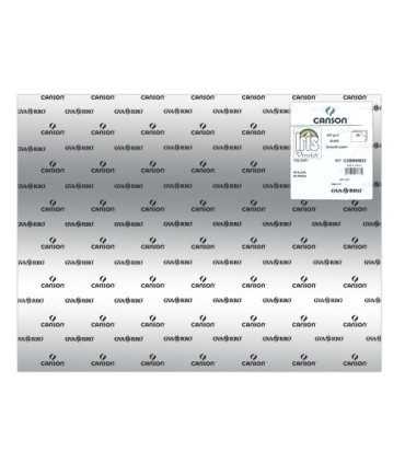 CARTULINA METAL.50x65 IRIS PLATA P/25